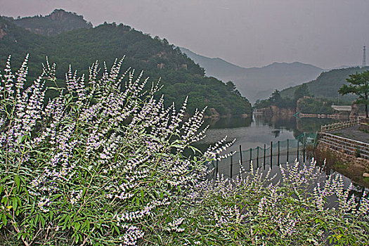 秦皇岛,石头,山村,山沟,村庄,青山绿水,原野,舒适,水库,旅游