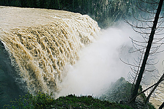 瀑布,踢,马,河,洪水,幽鹤国家公园,不列颠哥伦比亚省,加拿大