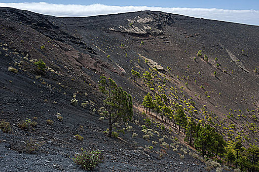 火山口,火山,圣安东尼奥,靠近,帕尔玛,加纳利群岛,西班牙,欧洲