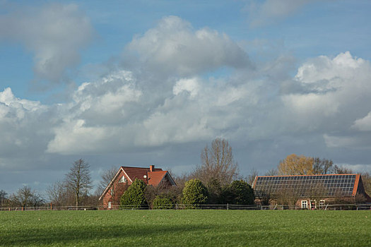 荷兰农场