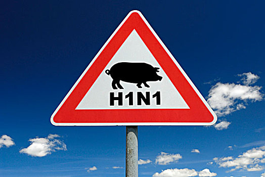 交通标志,猪,感冒,甲流,病毒