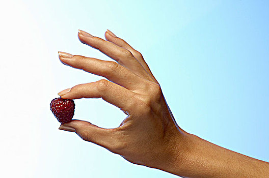 女人,握着,树莓