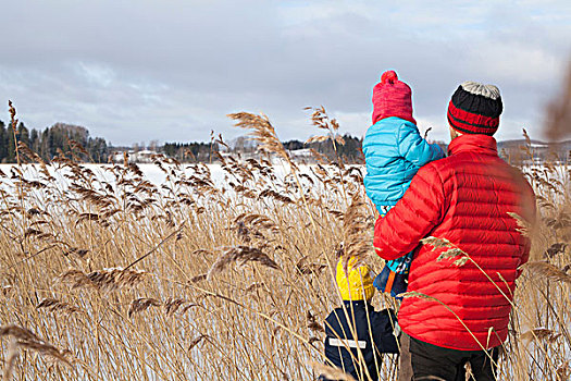 父亲,两个,儿子,走,高草,雪中,遮盖,风景,后视图