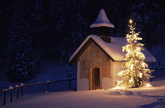 小教堂,圣诞树,雪,巴伐利亚,德国,欧洲