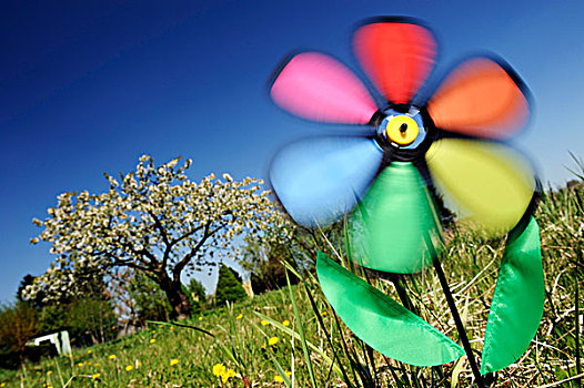 彩色,纸风车,草地,象征,图像,风,能量