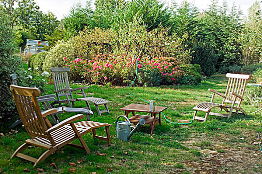 园林家具,蔷薇,布列塔尼半岛,法国