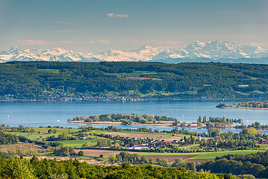 风景,湖,半岛,后面,阿尔卑斯山,康士坦茨湖,区域,巴登符腾堡,德国,欧洲