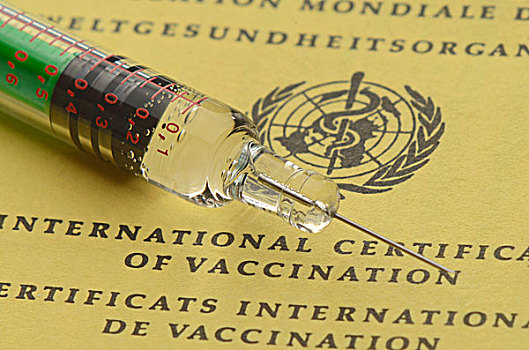注射器,躺着,国际,疫苗,证书,象征,免疫