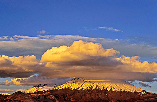 火山,智利,日落,局部,拉乌卡国家公园,高原,生物保护区,大