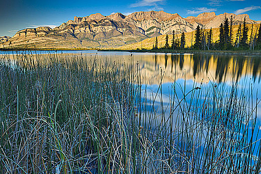 反射,山脉,湖,碧玉国家公园,艾伯塔省,加拿大