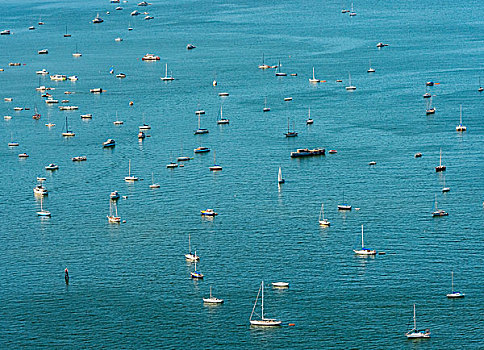 航拍,锚定,帆船,旧金山湾,区域,加利福尼亚,美国,北美