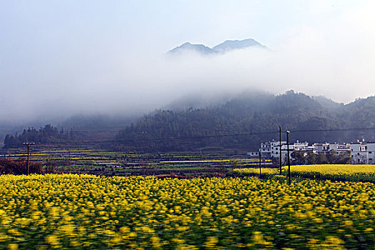 婺源,春天,油菜花,徽派,建筑,江岭,风情,风景,风光,乡村,民居