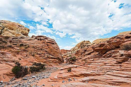 红色,橙色,砂岩,石头,白色,圆顶,小路,火焰谷州立公园,莫哈维沙漠,内华达,美国,北美