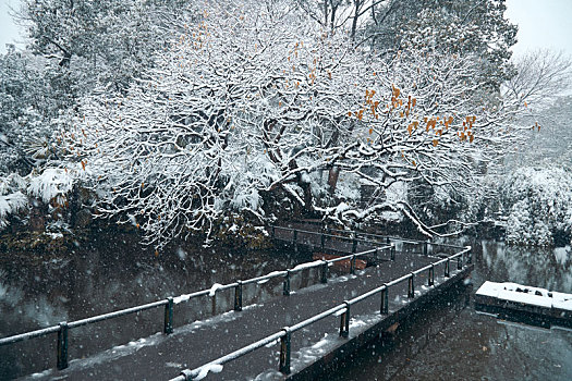 湖南省开福区烈士公园冬季雪景