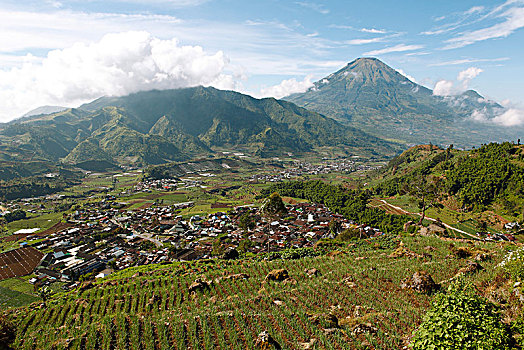 乡村,后面,山,火山,高原,爪哇,印度尼西亚,亚洲