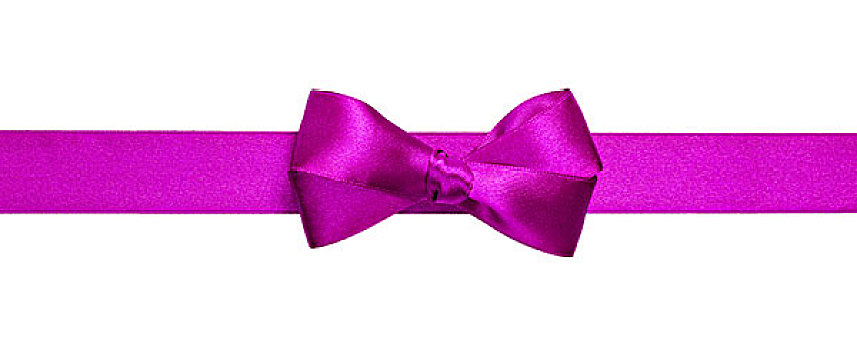 紫色,丝带,简单,蝴蝶结,隔绝,白色背景,背景