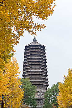 北京玲珑公园