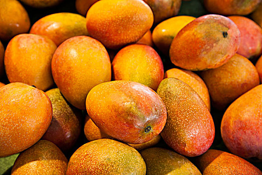 热带水果----芒果