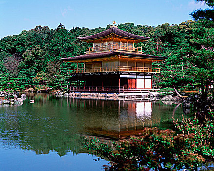 日本,京都,金亭,金阁寺