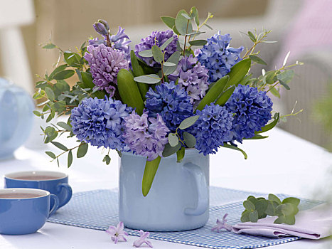 花束,蓝色,紫色,风信子