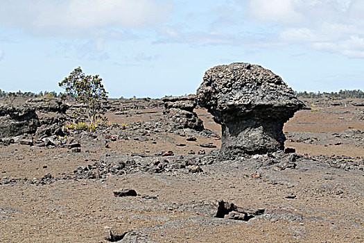 火山岩,夏威夷火山国家公园,夏威夷,美国