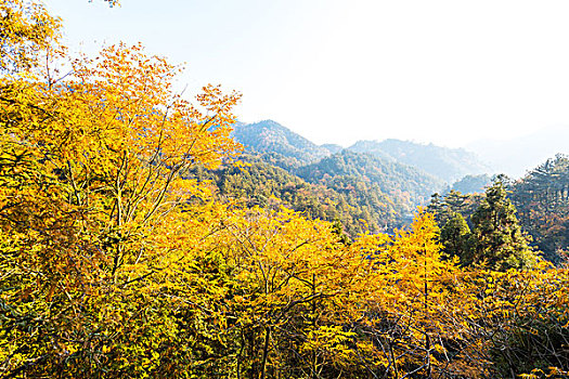 彩色,秋日风光,山