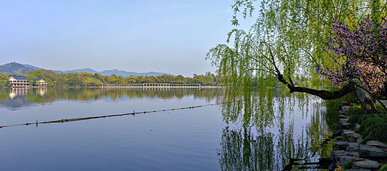 西湖十景,花港观鱼