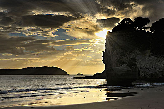 海滩,早晨,大教堂,小湾,北岛,新西兰