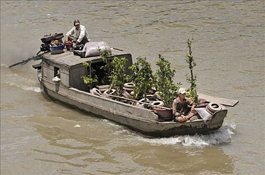两个男人,木船,湄公河,植物,交易,芹苴,湄公河三角洲,越南