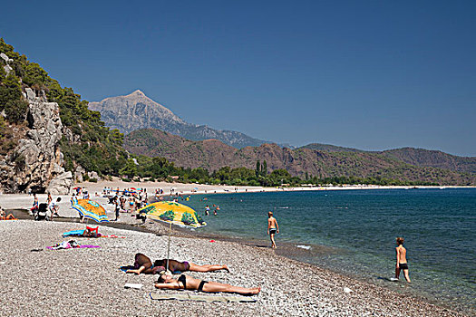 海滩,靠近,海岸,爱琴海,地中海,土耳其,小亚细亚