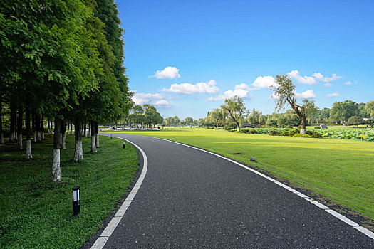 公园绿地与道路