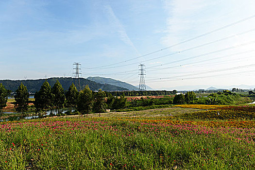 能源,塔,高压,柱子