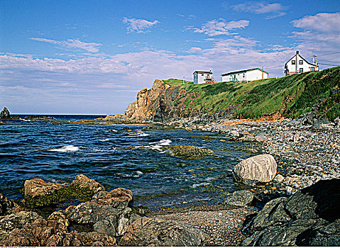 渔村,海岸,特威林盖特岛,纽芬兰,加拿大