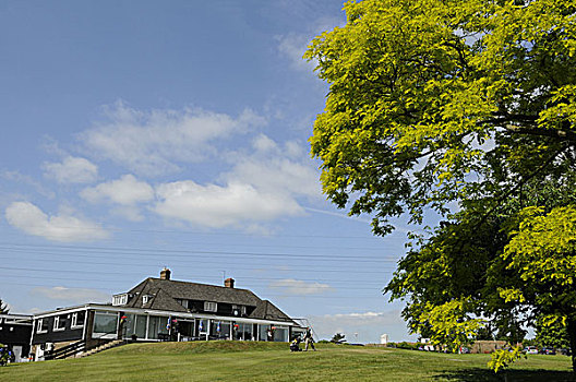风景,上坡,高尔夫球场,球座,坎特伯雷,高尔夫球杆,肯特郡,英格兰