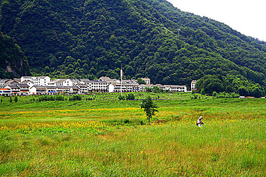 湖北神农架大九湖国家湿地公园