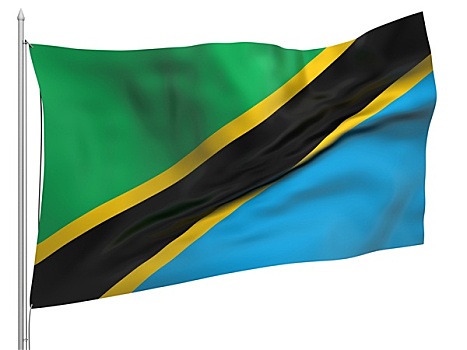 飞,旗帜,坦桑尼亚,国家