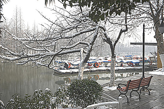 合肥逍遥津公园雪景