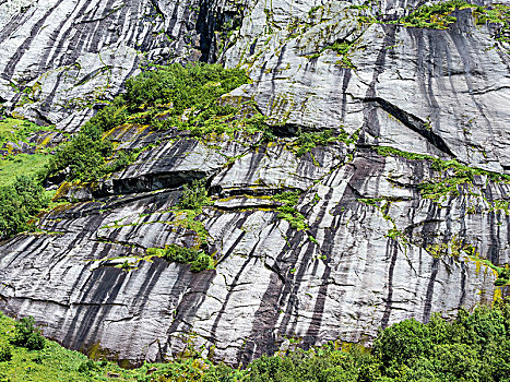 花冈岩,石头,植被,南,挪威