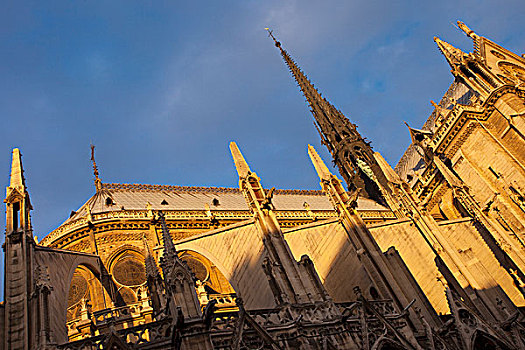 日出,哥特式建筑,大教堂,巴黎,法国