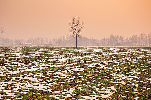 暖色环境中雪后的麦田