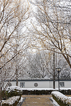 河北省石家庄正定县,云居湖公园雪景