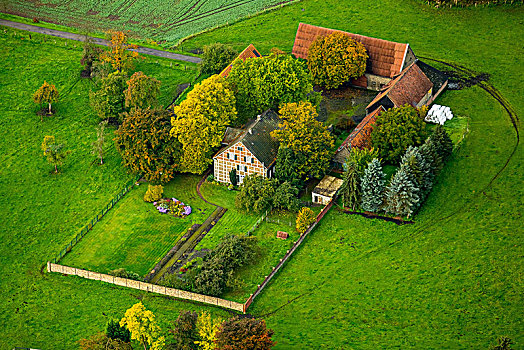 农场,孤单,哈姆,鲁尔区,北莱茵威斯特伐利亚,德国