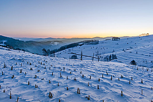 雪地,树林,村庄,雪村