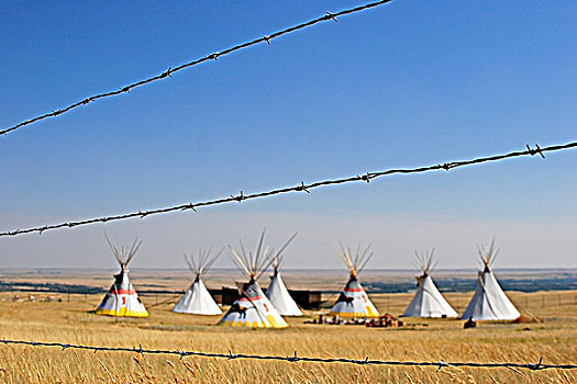 圆锥形帐篷,草原,刺铁丝网,头部,中心,艾伯塔省,加拿大