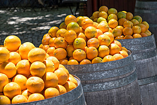 葡萄牙,奥比都斯,桶,肚脐,橘子,出售