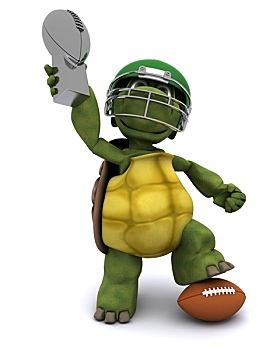 龟,美式橄榄球