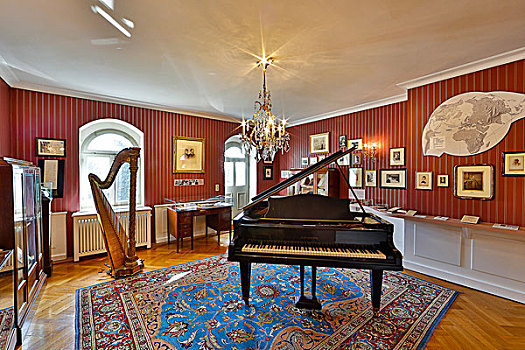 展示室,竖琴,大钢琴,别墅,萨克森,德国,欧洲