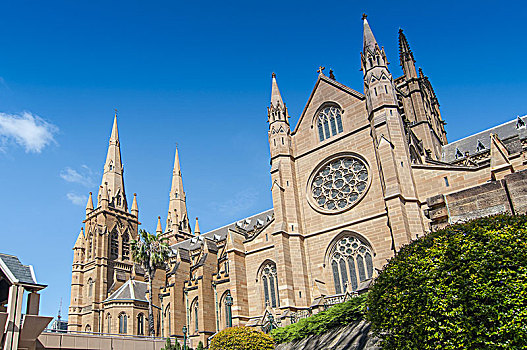 城市教堂,洁净,上帝,大教堂,教堂,罗马天主教,悉尼,澳大利亚