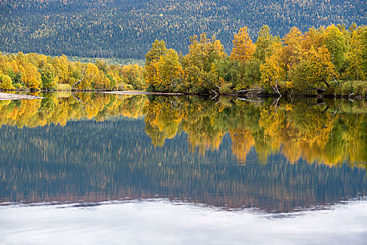 河,秋天,北博滕省,拉普兰,瑞典,欧洲