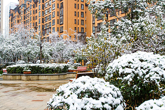 城市雪景